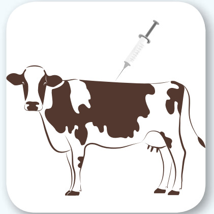 Le festival Pastoralismes et Grands Espaces 2025